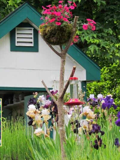 Fat Dog Farms - Warren, OR