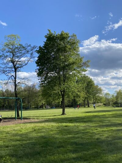 Rady Park - Warrenton, VA