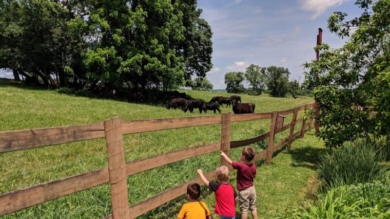 Rady Park - Warrenton, VA