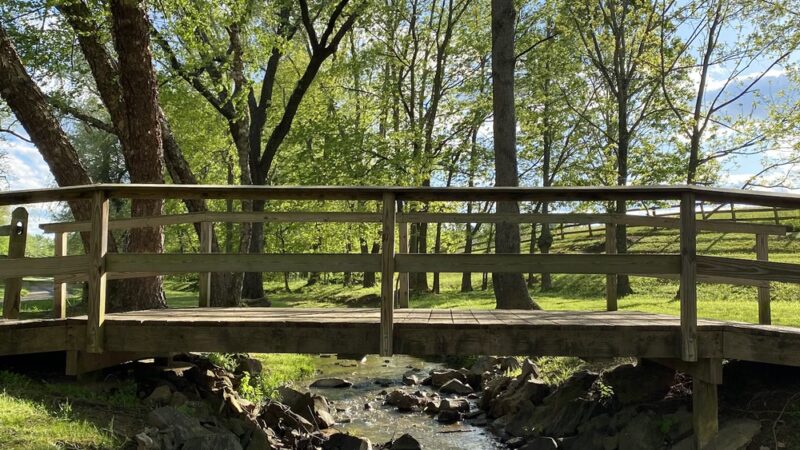 Rady Park - Warrenton, VA