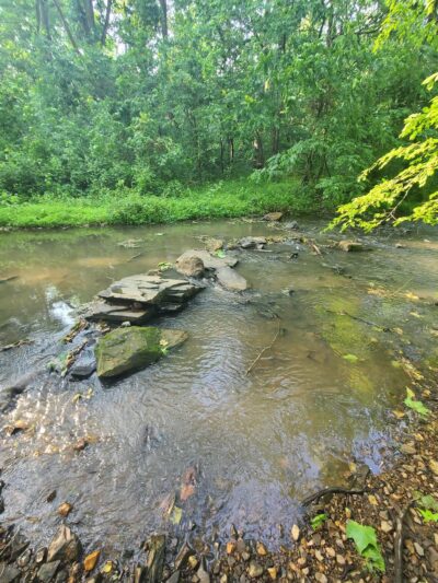 Vint Hill Farms Park - Warrenton, VA