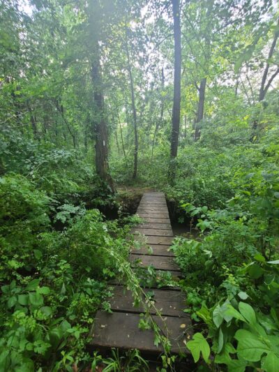 Vint Hill Farms Park - Warrenton, VA