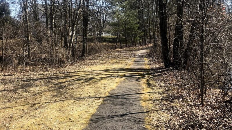 Hidden Pond Park - Warrington, PA