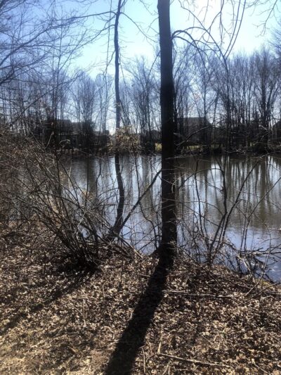 Hidden Pond Park - Warrington, PA