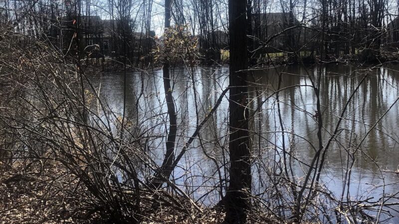 Hidden Pond Park - Warrington, PA