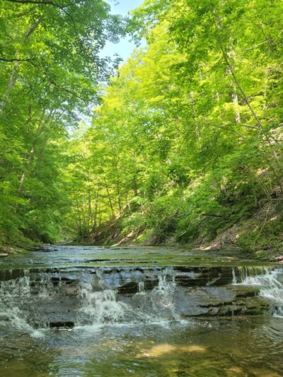 Warsaw Village Park - Warsaw, NY