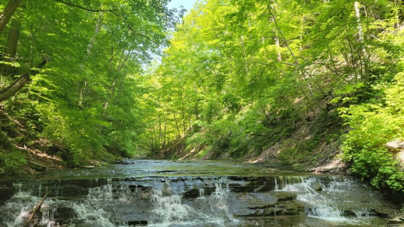 Warsaw Village Park - Warsaw, NY