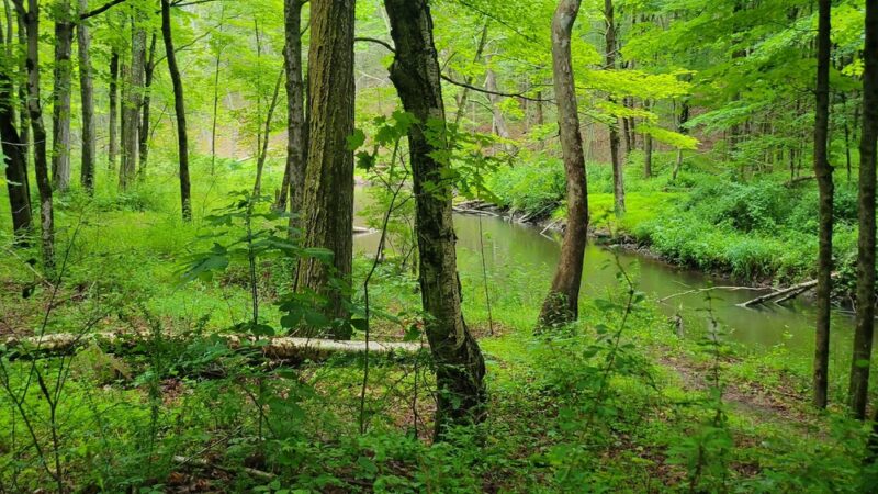 Cascade Lake - Warwick, NY