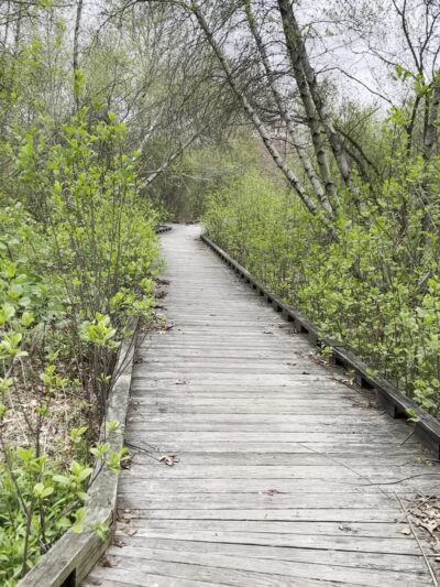 Father Tirocchi Field - Warwick, RI