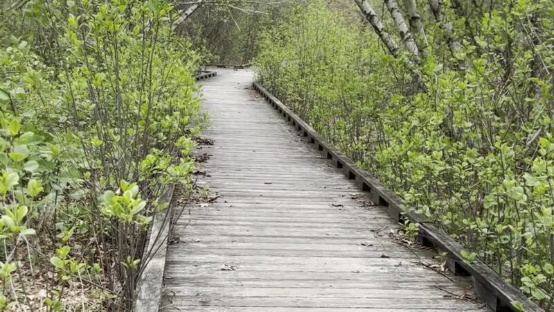 Father Tirocchi Field - Warwick, RI