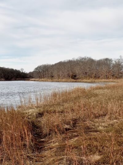 Warwick City Park and Buttonwoods Beach Area Parking - Warwick, RI