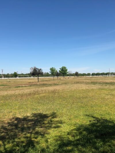 Annin Park - Wasco, CA