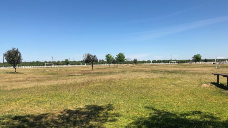 Annin Park - Wasco, CA