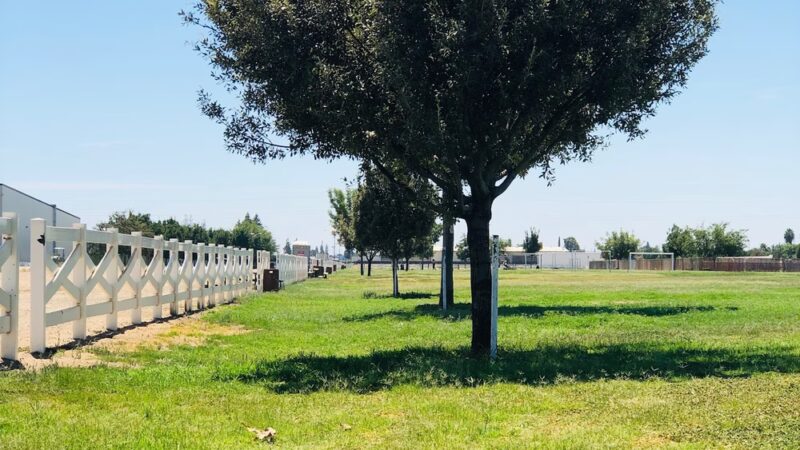 Annin Park - Wasco, CA
