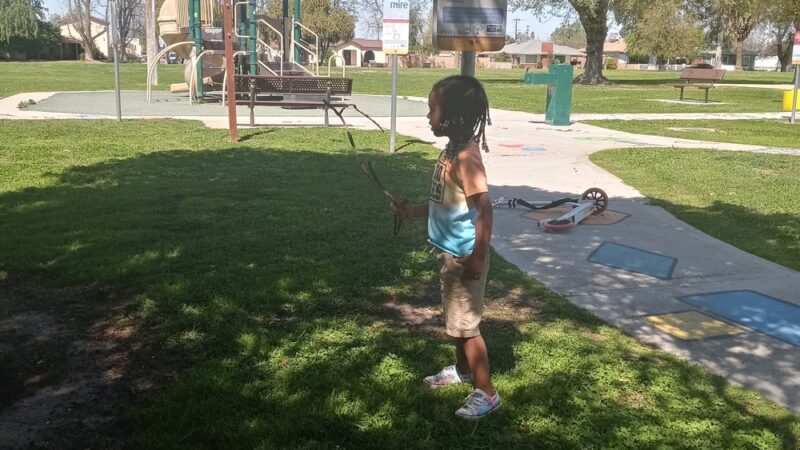 Cormack Park - Wasco, CA