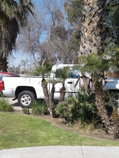 Cormack Park - Wasco, CA