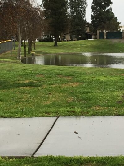 Wasco Recreation and Parks District - Wasco, CA