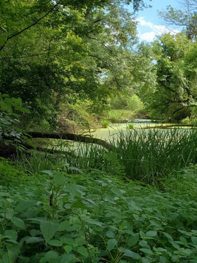 Washington Crossing State Park Soccer Fields - Washington Crossing, PA