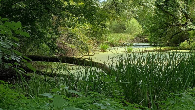 Washington Crossing State Park Soccer Fields - Washington Crossing, PA