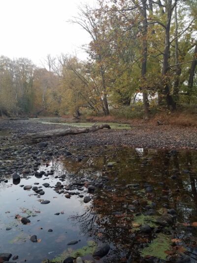 Washington Crossing State Park Soccer Fields - Washington Crossing, PA