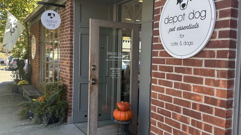 depot dog boutique - Washington Depot, CT