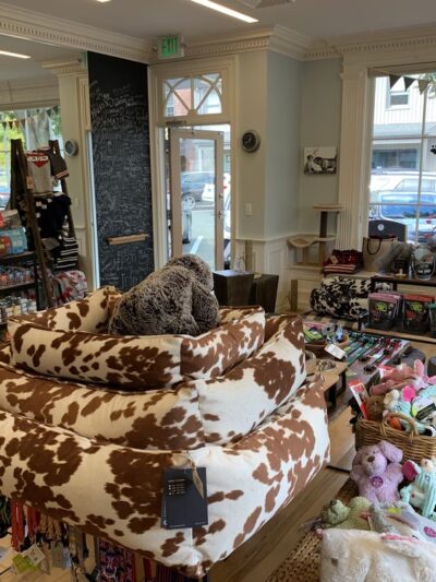 depot dog boutique - Washington Depot, CT