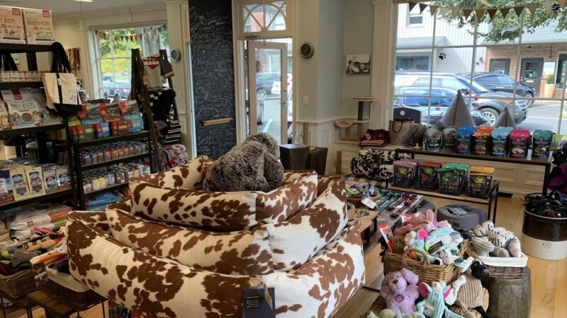 depot dog boutique - Washington Depot, CT