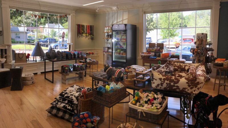 depot dog boutique - Washington Depot, CT