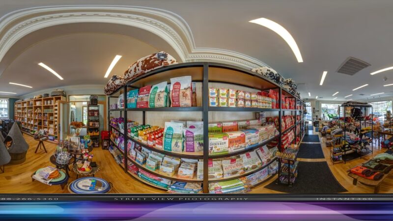 depot dog boutique - Washington Depot, CT