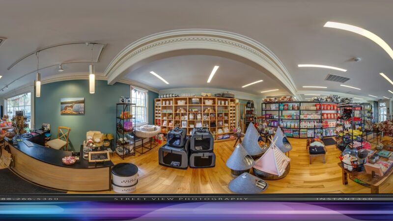 depot dog boutique - Washington Depot, CT