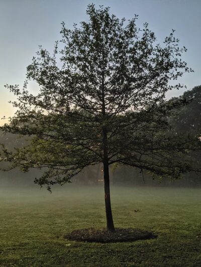 Woodward Park - Washington Grove, MD