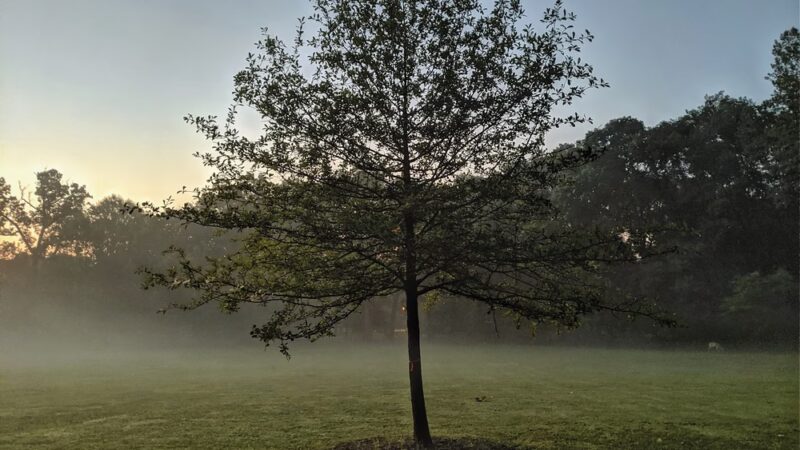 Woodward Park - Washington Grove, MD