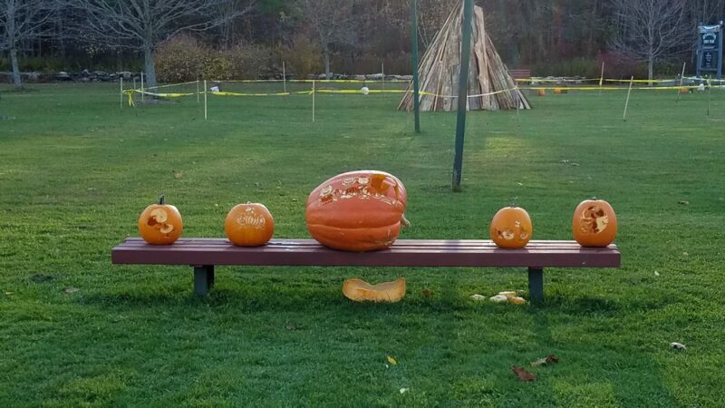 Washington Town Park - Washington, MA