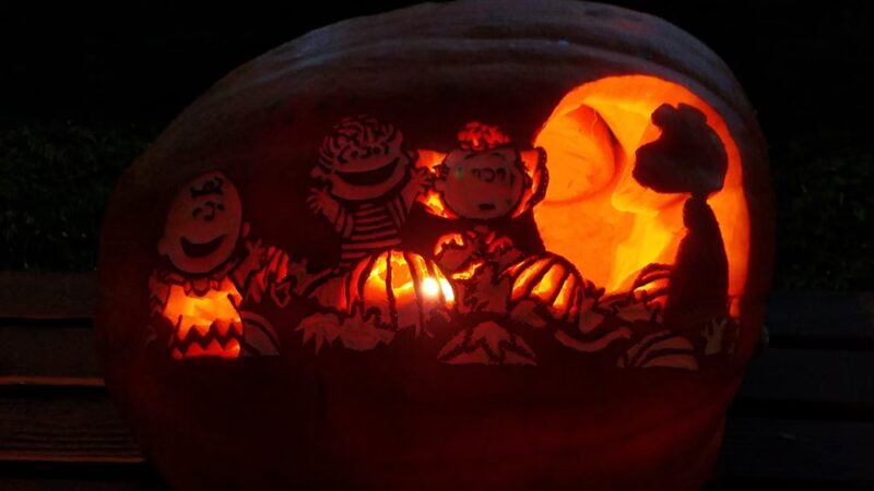 Washington Town Park - Washington, MA