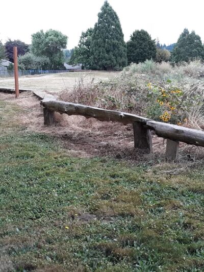 Bill Hamllik Park - Washougal, WA