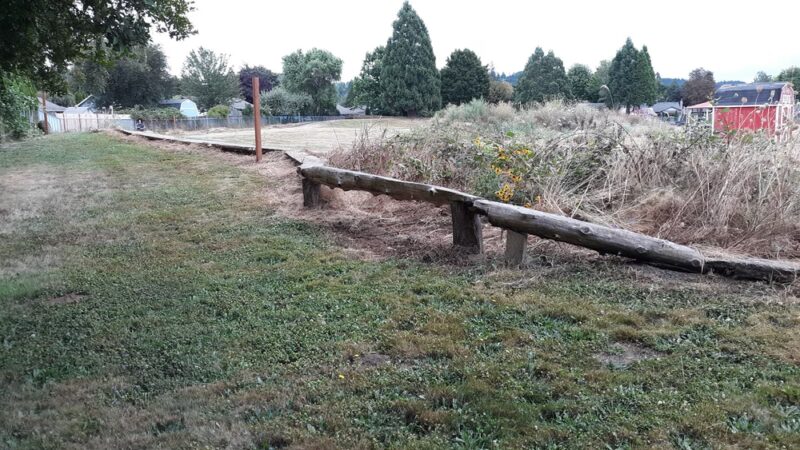 Bill Hamllik Park - Washougal, WA