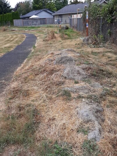 Bill Hamllik Park - Washougal, WA