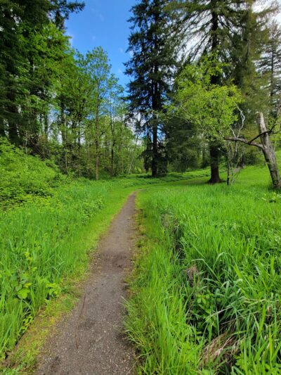 Campen Creek Park - Washougal, WA