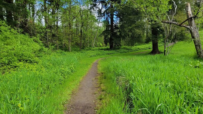 Campen Creek Park - Washougal, WA