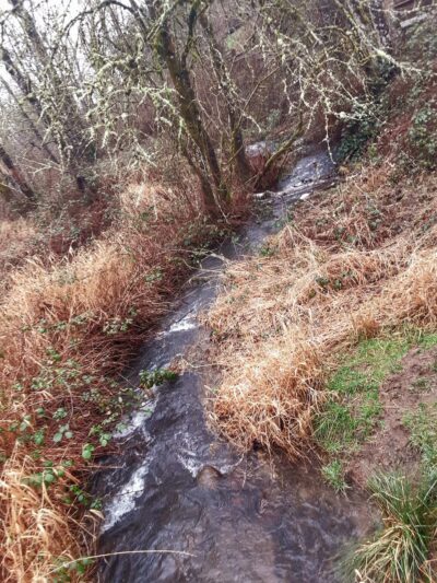 Campen Creek Park - Washougal, WA