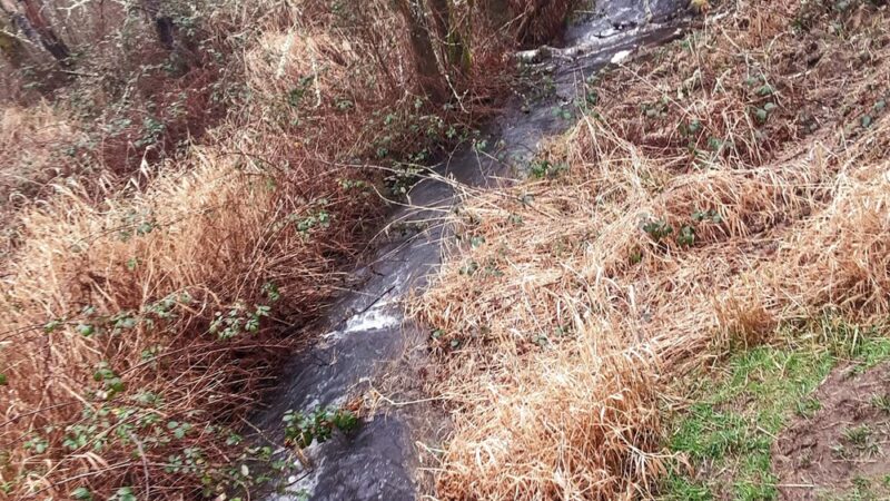 Campen Creek Park - Washougal, WA