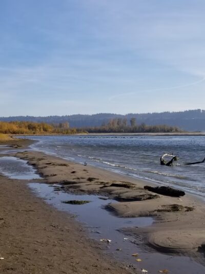 Cottonwood Beach - Washougal, WA