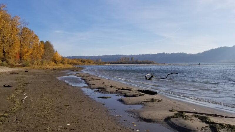 Cottonwood Beach - Washougal, WA