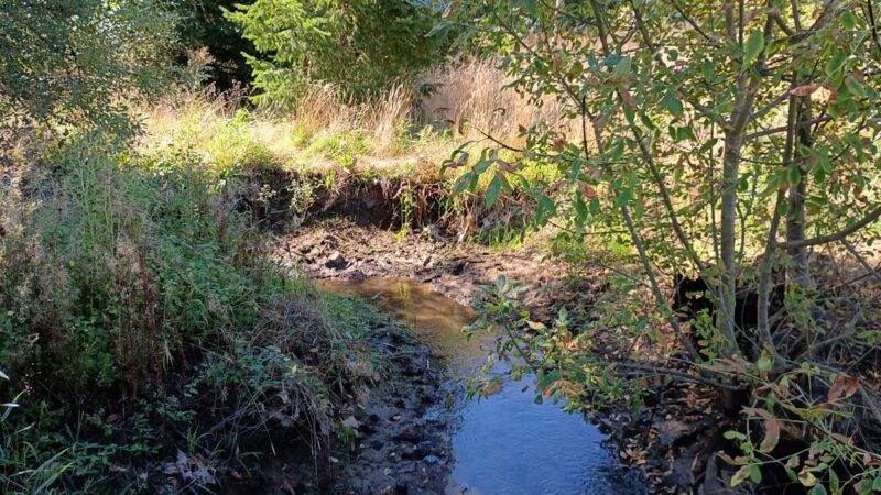 Mable Kerr Park - Washougal, WA