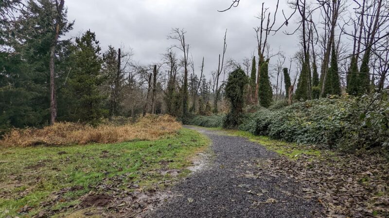 Mable Kerr Park - Washougal, WA