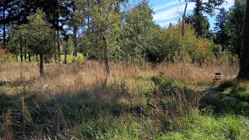 Mable Kerr Park - Washougal, WA