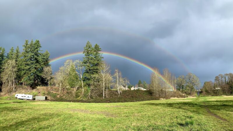 Schmid Family Park - Washougal, WA