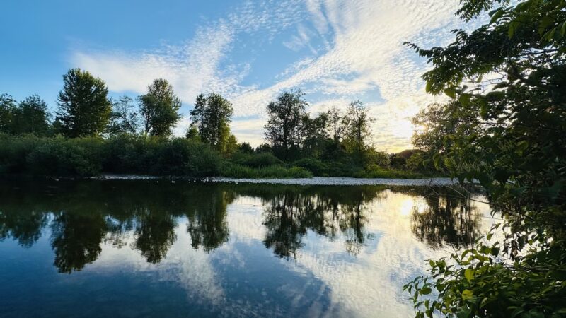 Schmid Family Park - Washougal, WA