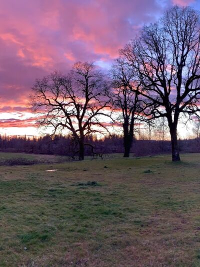 Schmid Family Park - Washougal, WA