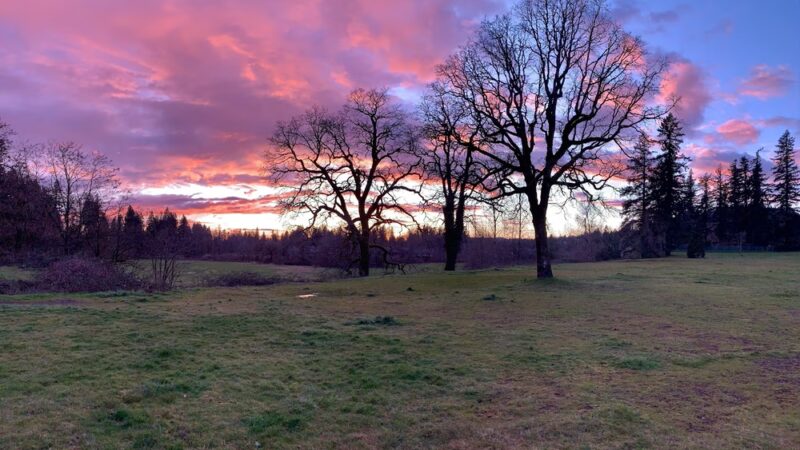Schmid Family Park - Washougal, WA